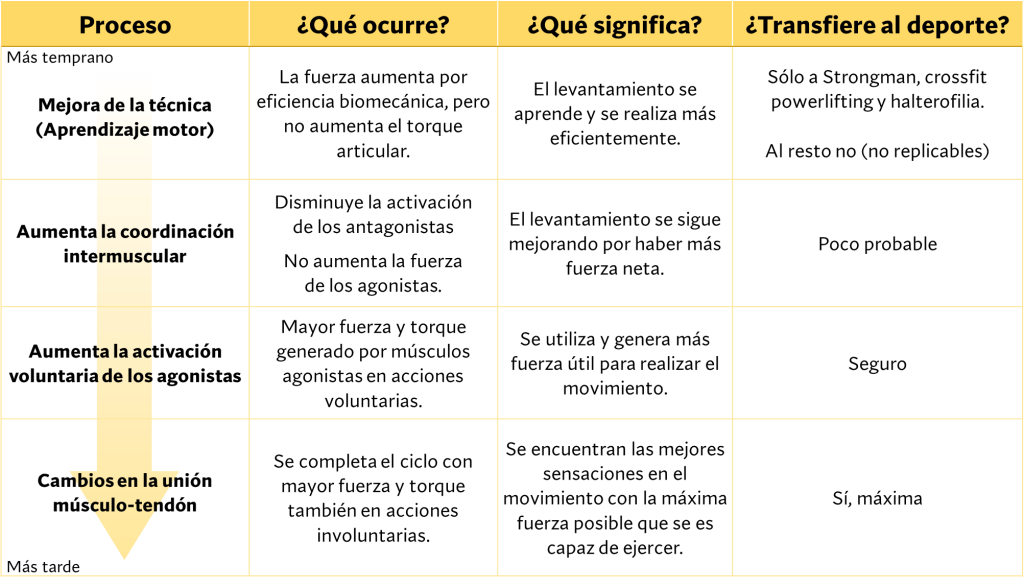 Tipos de fuerza: máxima, explosiva y resistencia 3 Progreso de las adaptaciones neurales