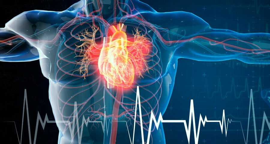covid salud cardiovascular dr jordi roig cutillas 900x480 1