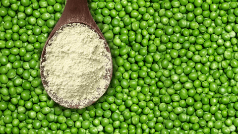 Proteína en polvo de guisante