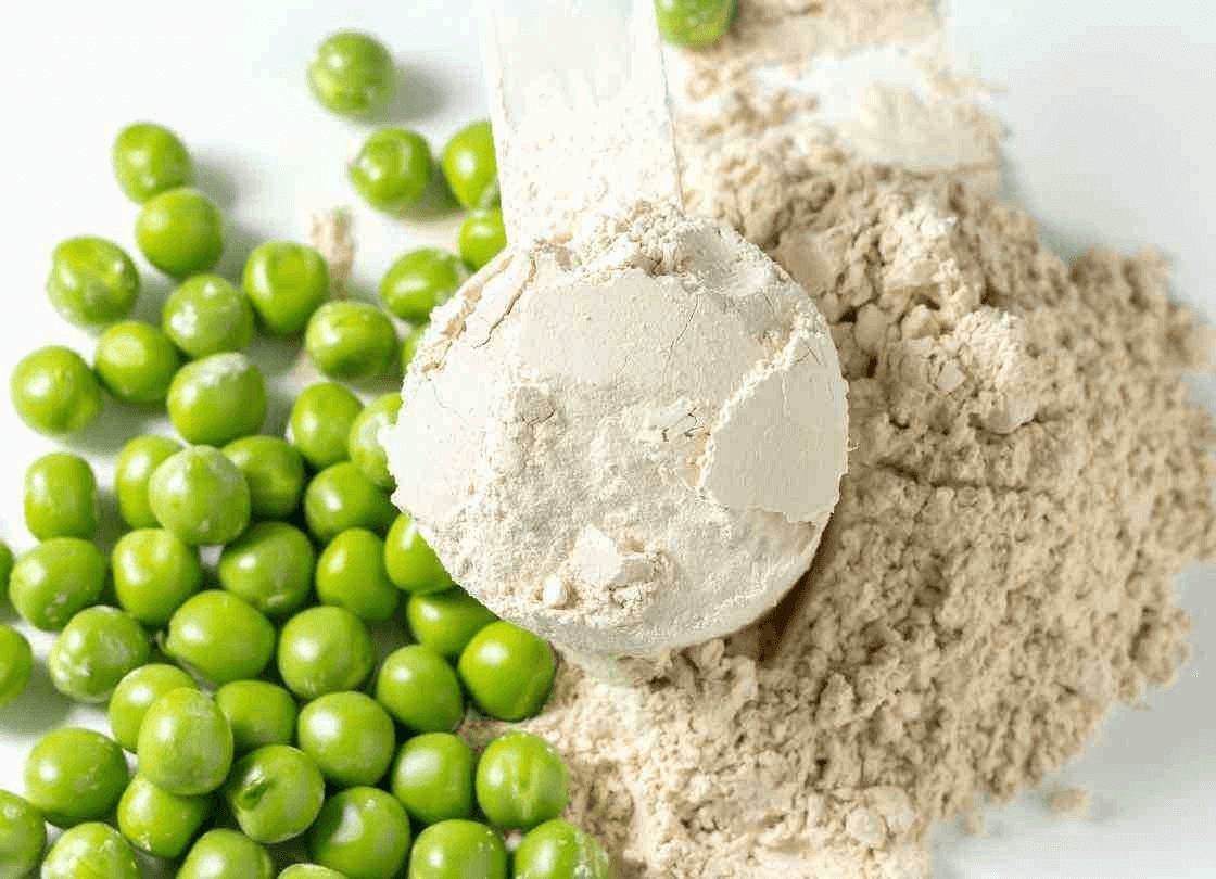 Proteína en polvo de guisante
