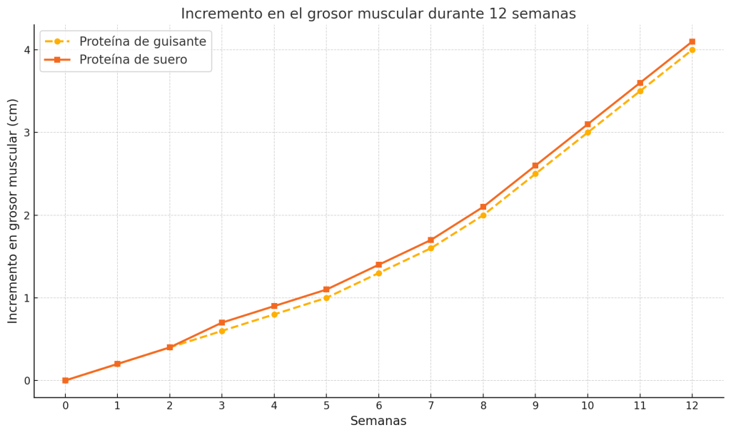 Incremento en el grosor muscular