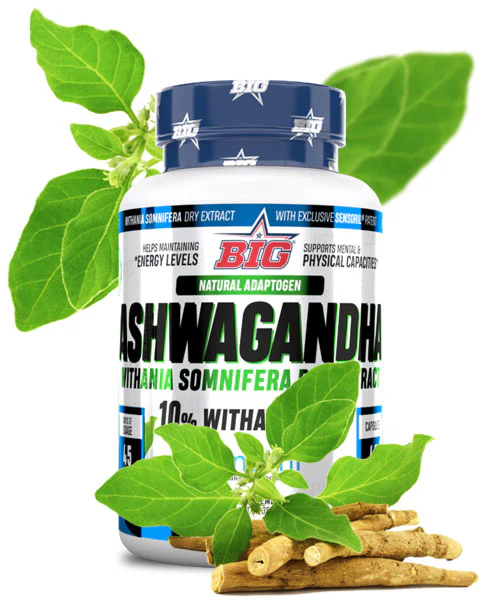 Ashwagandha y gimnasio, ¿qué beneficios tiene según la ciencia? 3 producto ASHWAGANDHA 1noflavour 500x600 91bbdc9d 4286 42f1 b055 15b9bdb4a040