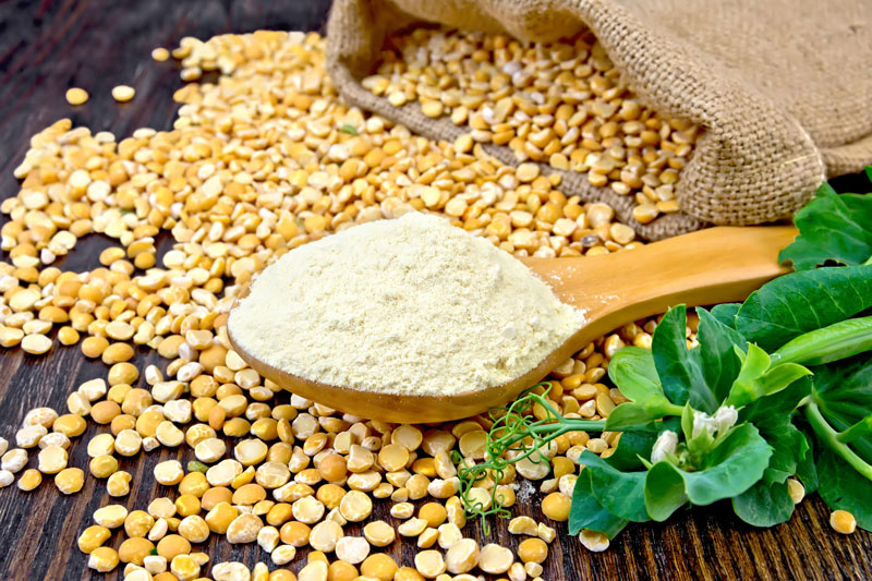 que es la proteina de guisante