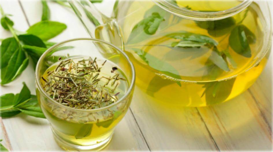Extracto de té verde