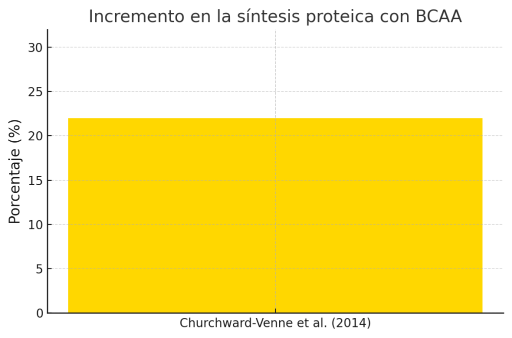 Incremento de la síntesis proteica