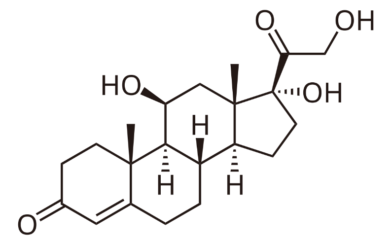 Hormona cortisol estrés