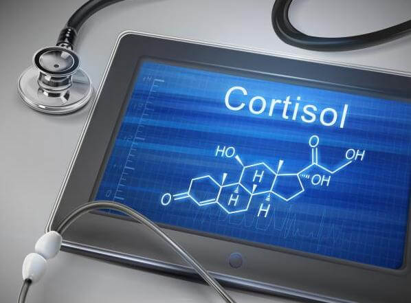 Hormona cortisol estrés
