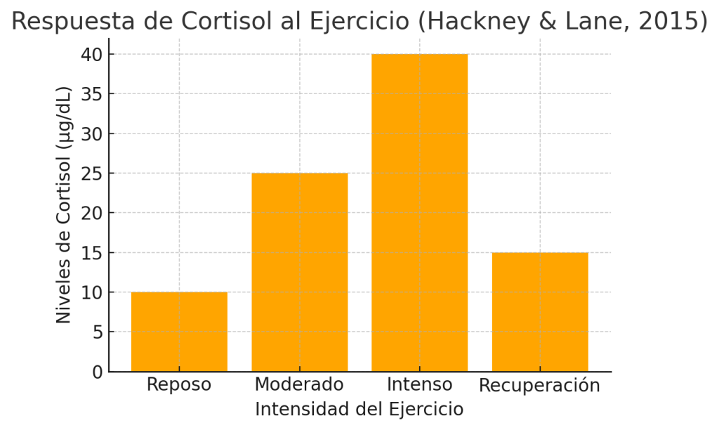 Cortisol y masa muscular, lo que debes saber. 7 Respuesta del cortisol