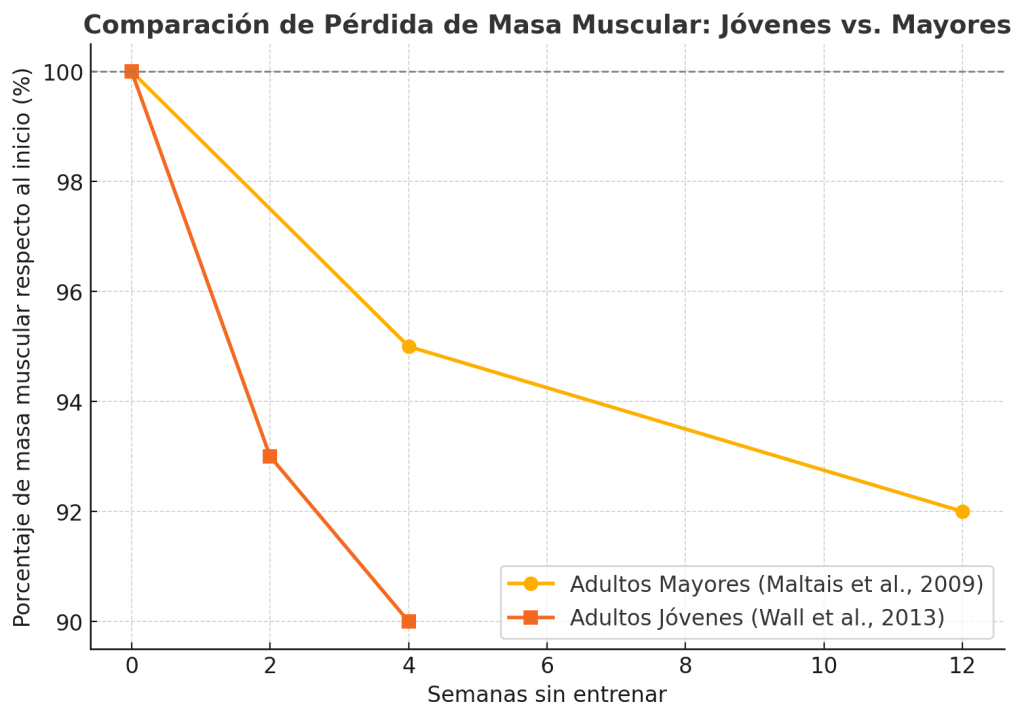 ¿Cuánto músculo se puede perder en un mes sin entrenar? 5 Pérdida de masa muscular jovenes y mayores