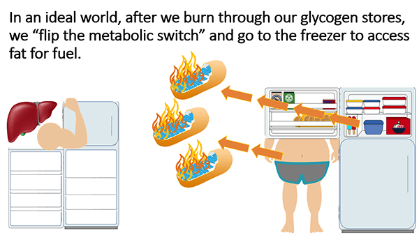 buena Flexibilidad Metabólica
