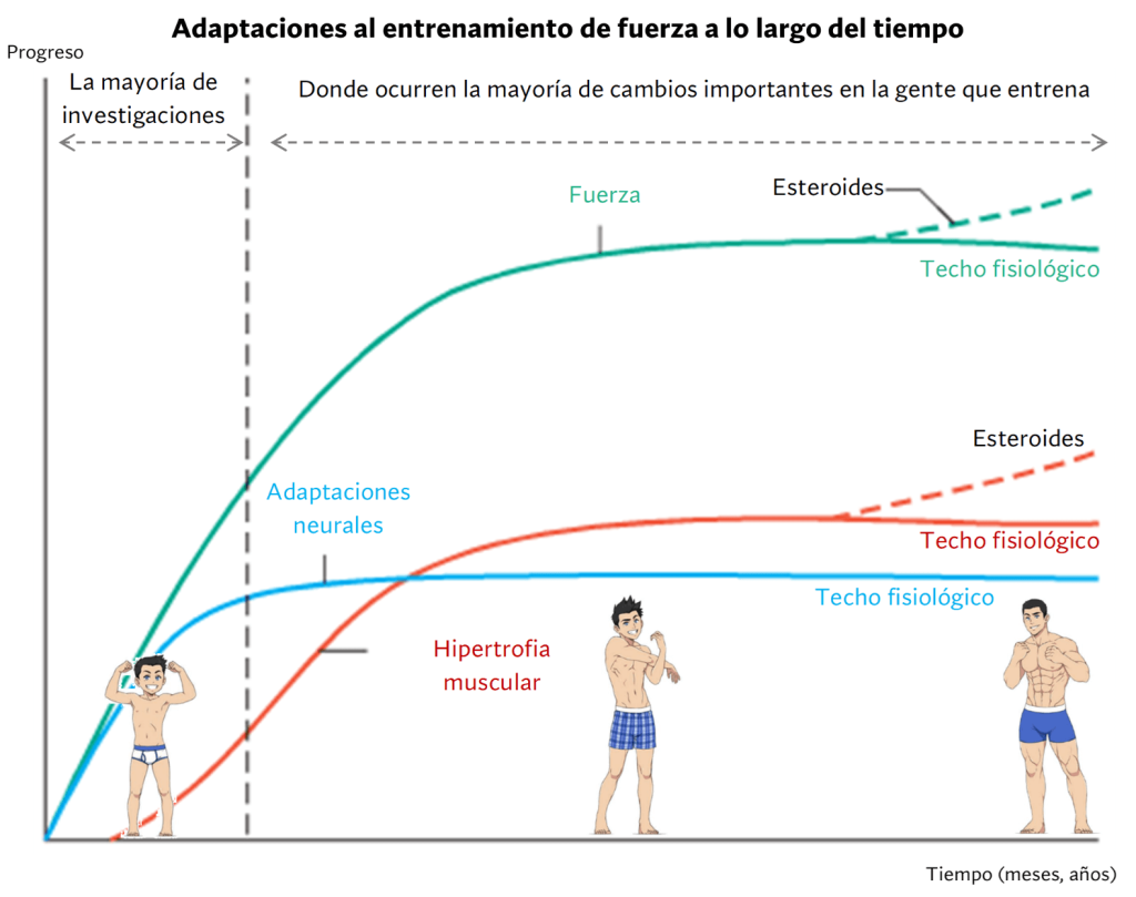 Progreso en el entrenamiento con cargas