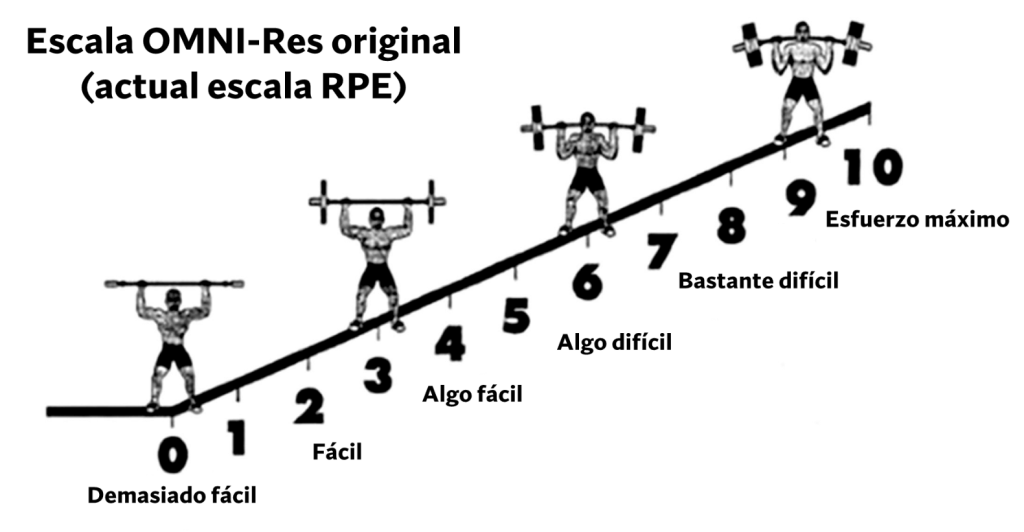 Guia completa 8