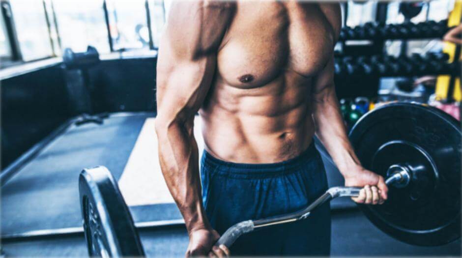 Sal y fitness 6