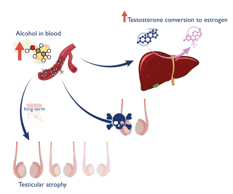 Alcohol reduce la testosterona