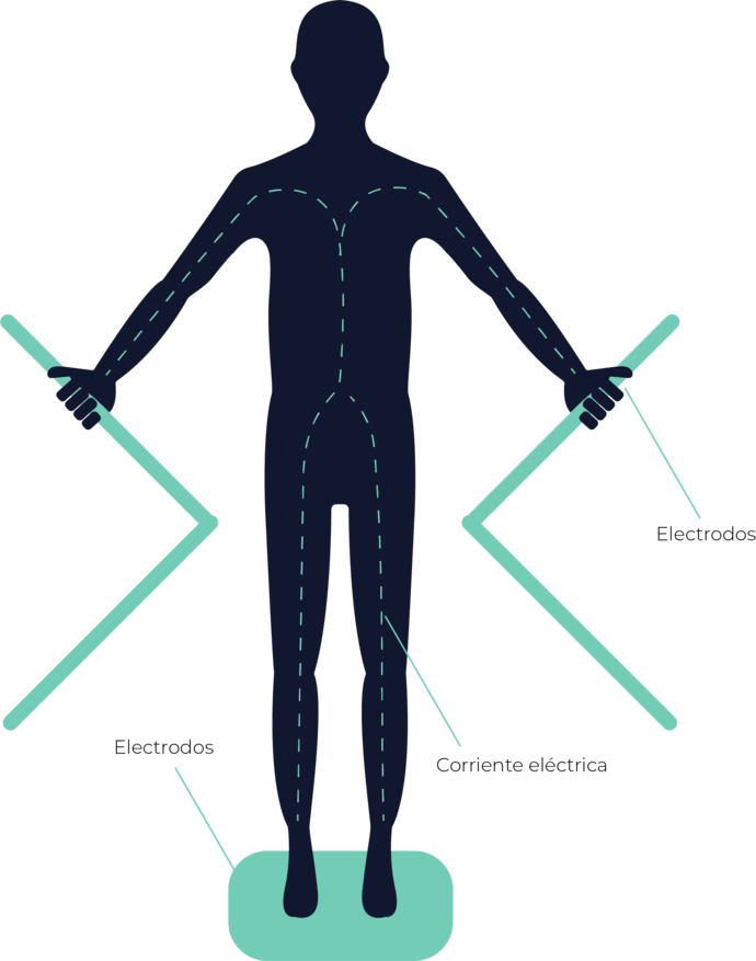 Bioimpedancia eléctrica