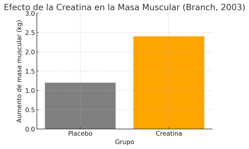 Creatina masa muscular