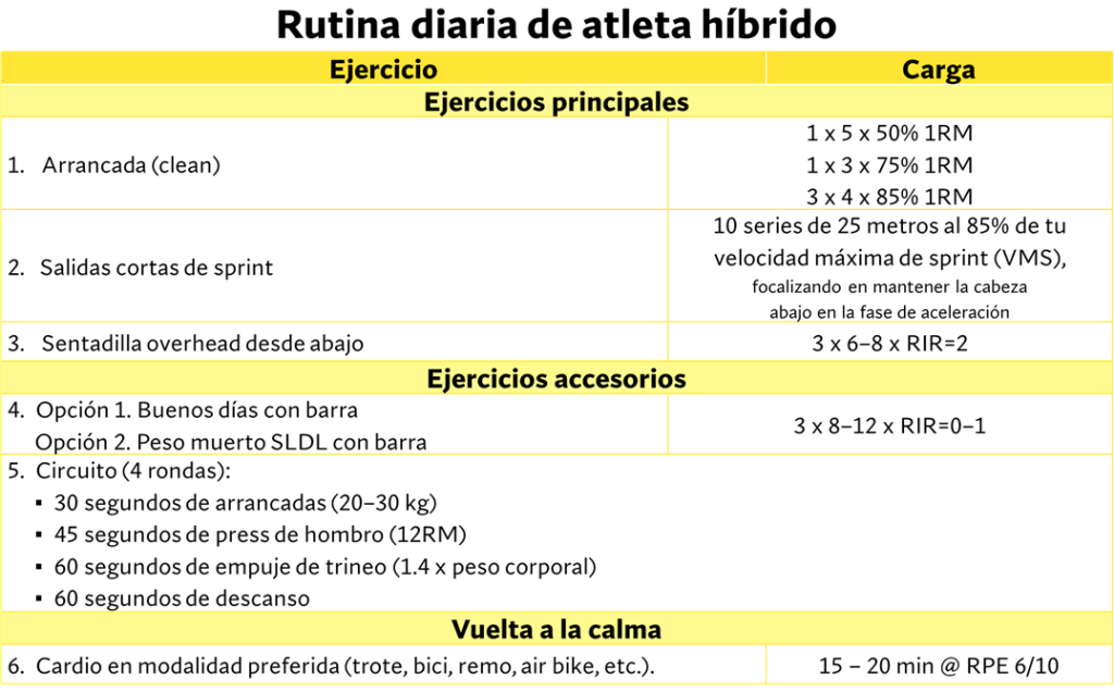 entrenamiento hibrido 8