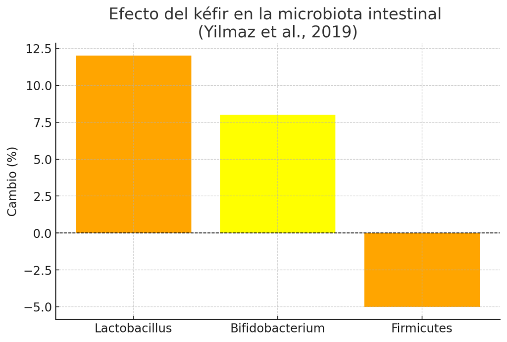 ¿Es bueno tomar kéfir todos los días? 5 Kéfir microbiata intestinal