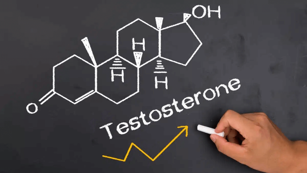¿Los potenciadores de testosterona funcionan? 1 Potenciadores de testosterona
