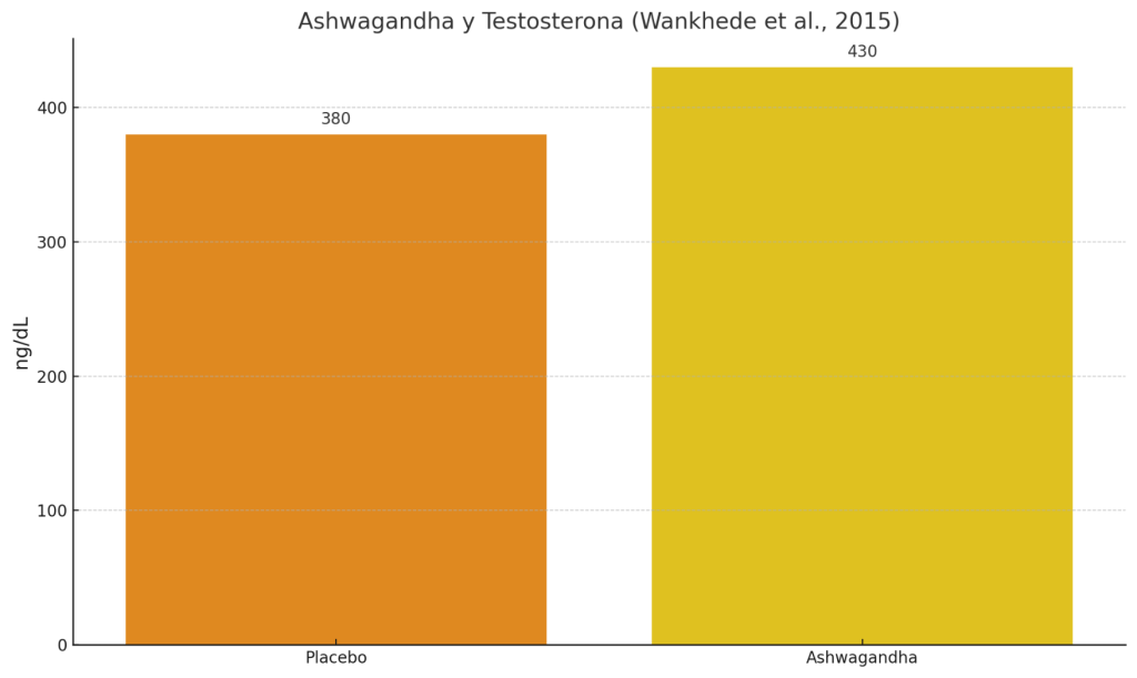 ¿Los potenciadores de testosterona funcionan? 7 Efecto de la Ashwagandha