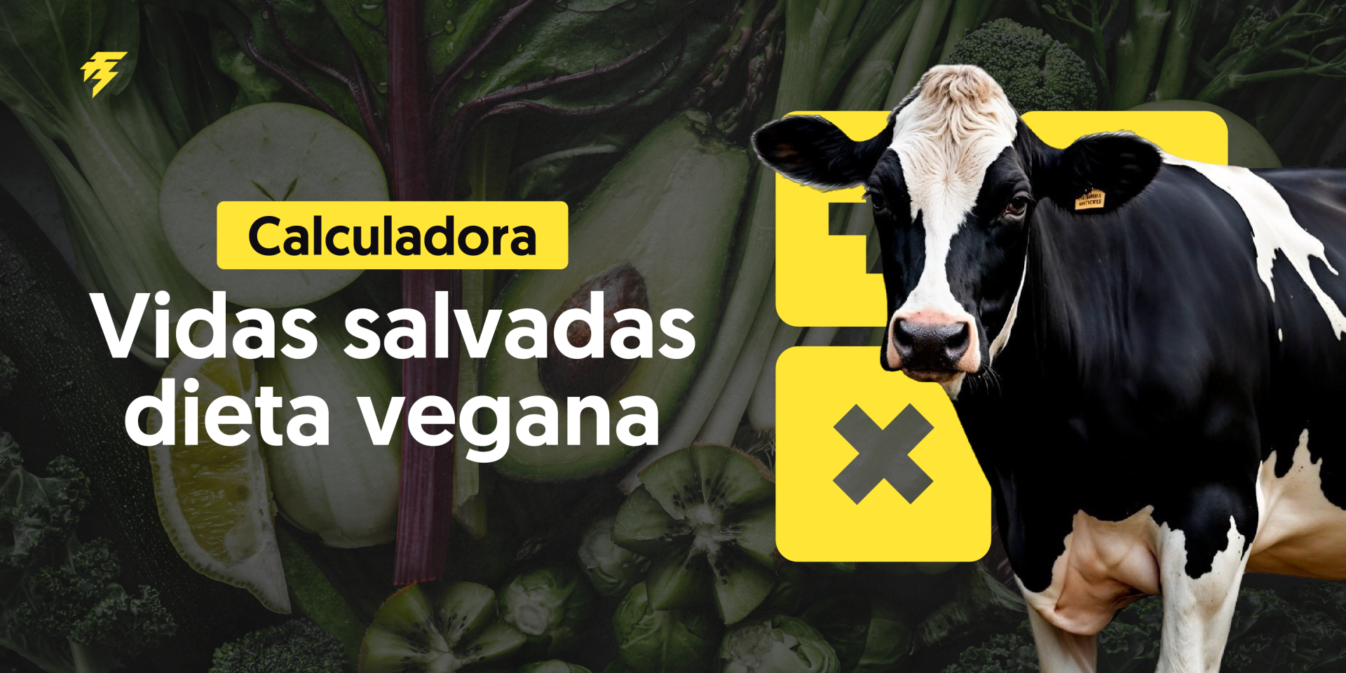 calculadora vidas salvadas
