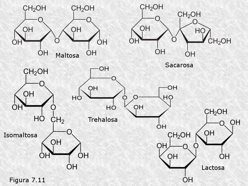 Estructuras químicas de disacáridos comunes
