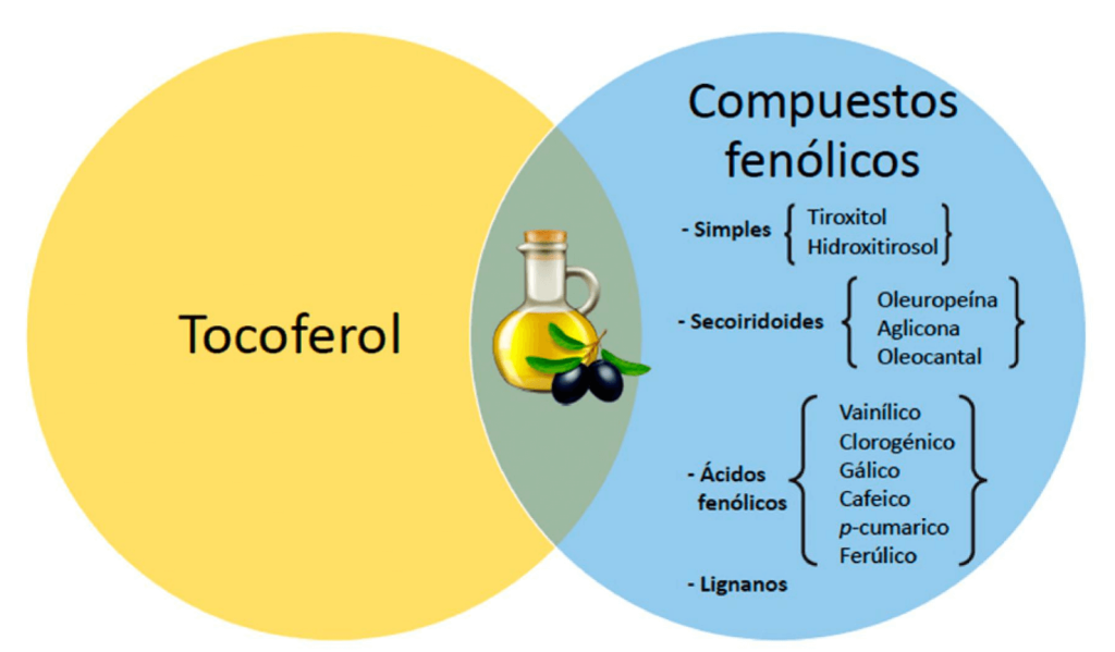 Aceite de oliva vs. Aceite de girasol, ¿cuál es mejor? 3 Capacidad Antioxidante del AOVE