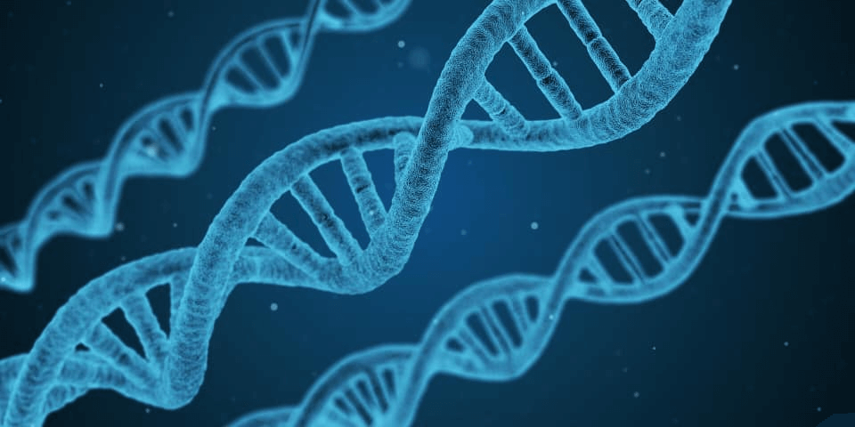 Factores genéticos colesterol