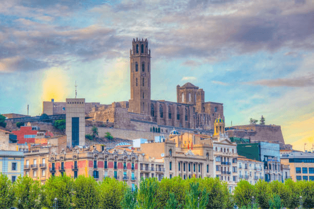 Estudiar TSAF en Lleida