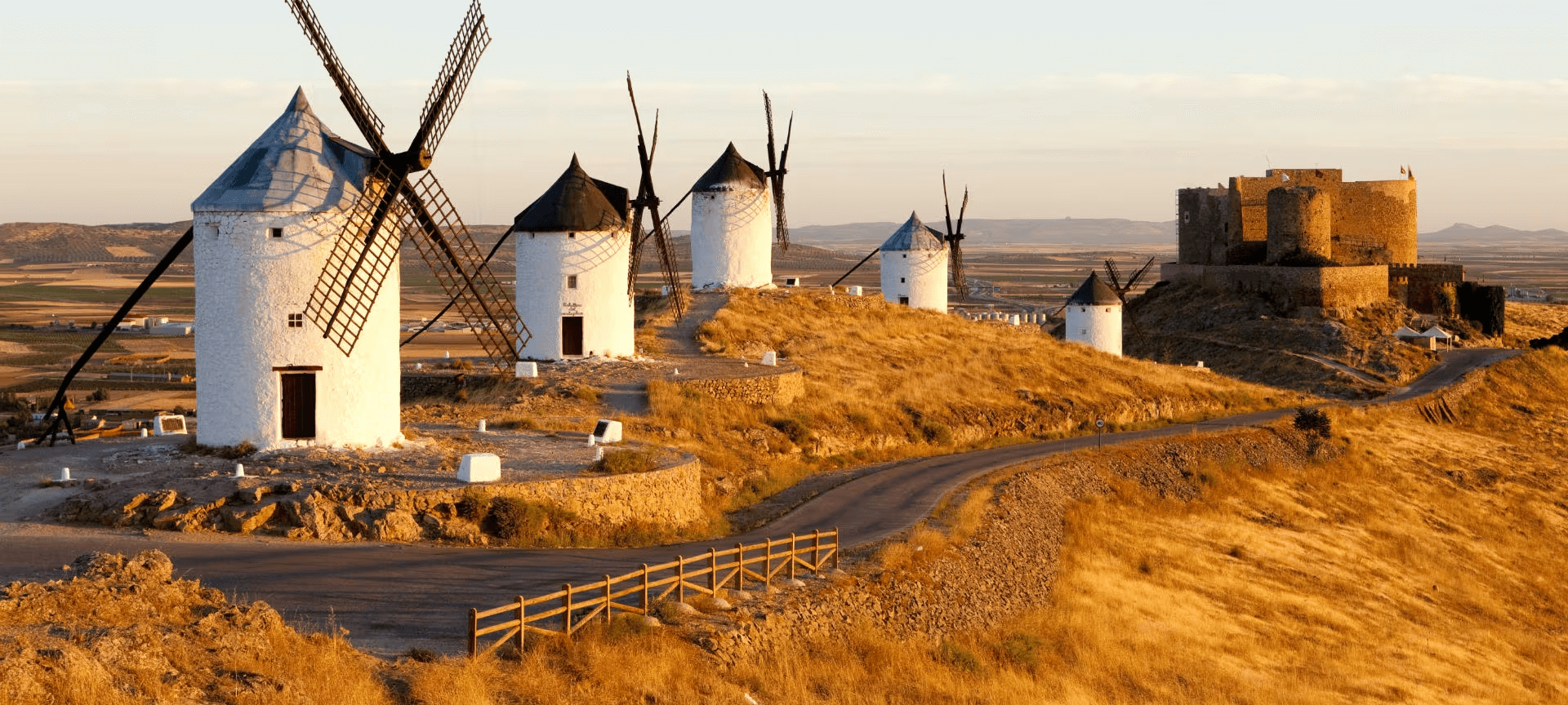 Estudiar nutrición en Castilla-La Mancha