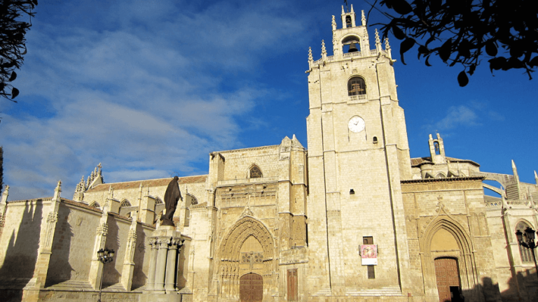 Estudiar TSAF en Palencia