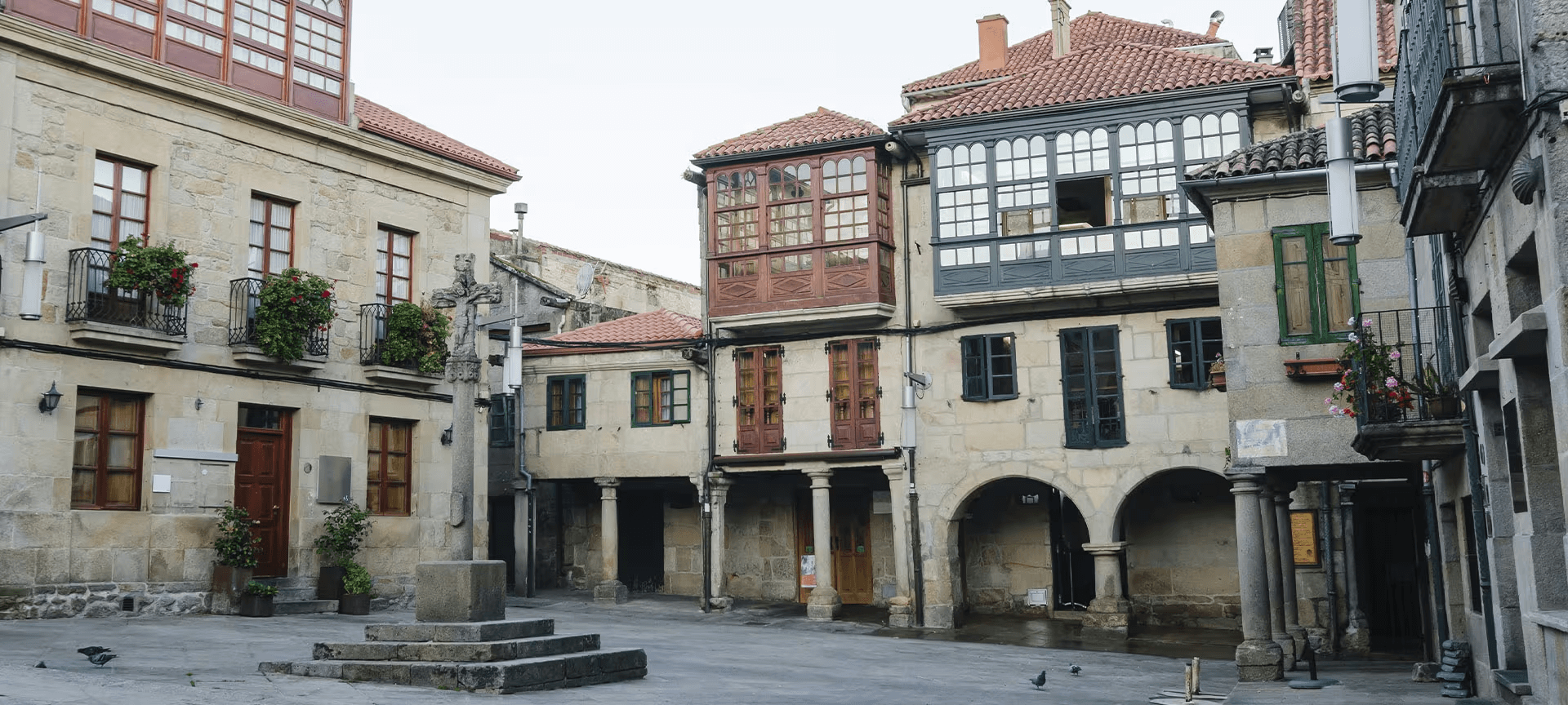 TSAF en Pontevedra