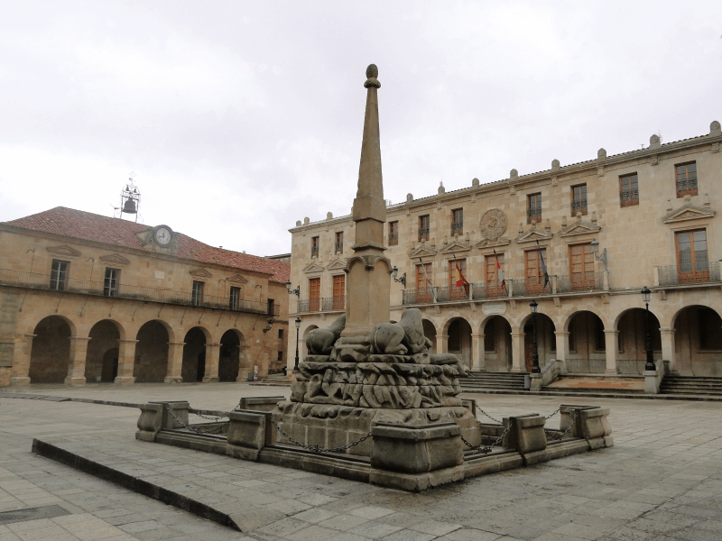 Estudiar TSAF en Soria