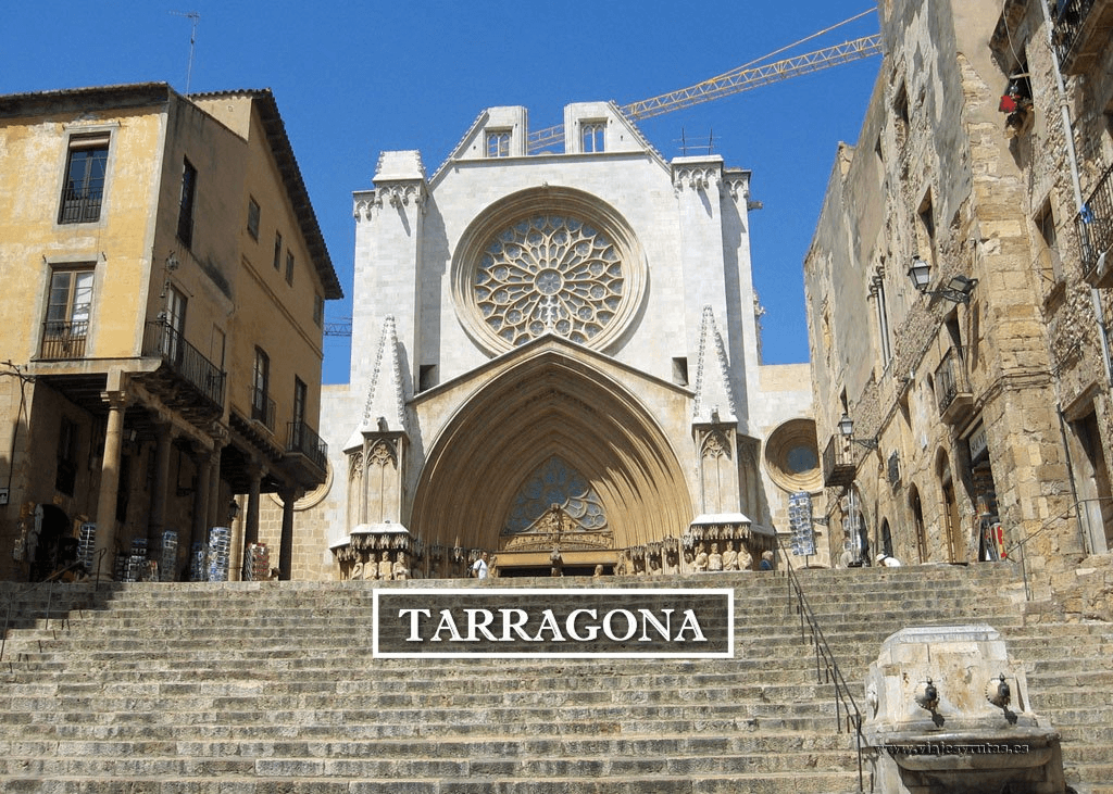 Estudiar TSAF en Tarragona