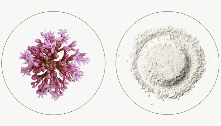 Valeriana vs Melatonina