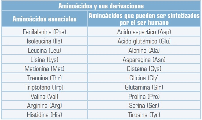Aminoácidos y sus derivados
