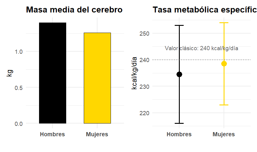 ¿Cuántas calorías consume el cerebro? 5 Cerebro hombres y mujeres