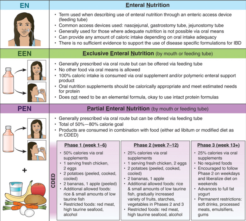Modalidades de soporte nutricional enteral