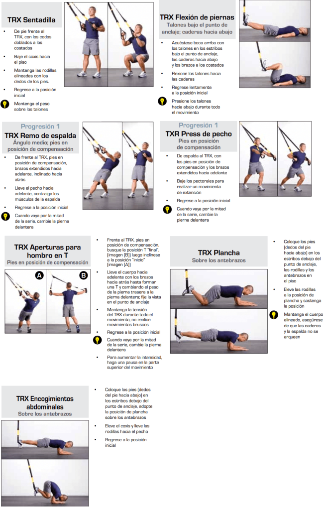 Rutina para principiantes con TRX