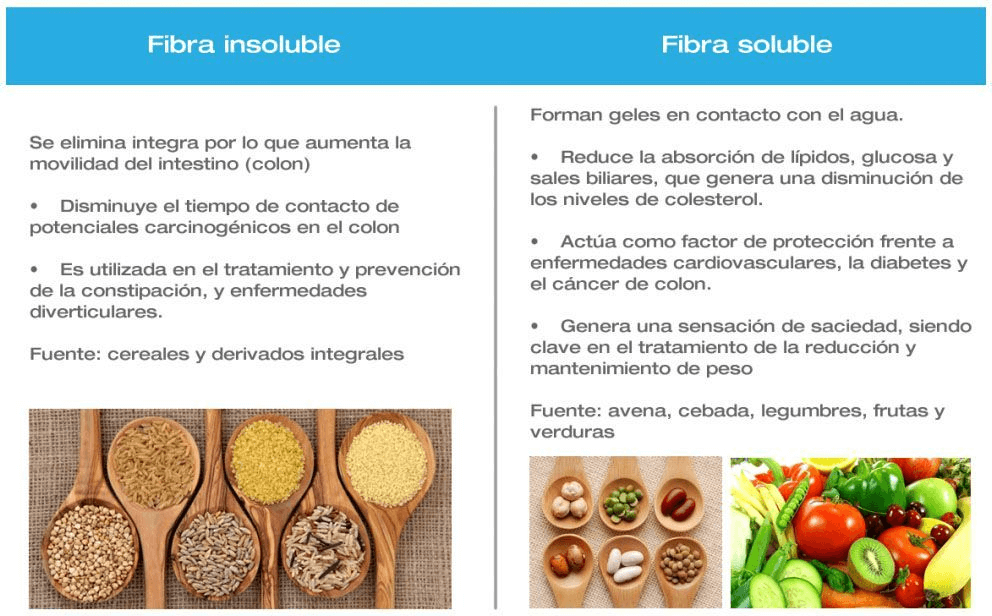 Fibra soluble e insoluble