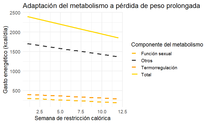 El metabolismo lento es un mito (y la solución) 11 Adaptación metabolismo a pérdida peso