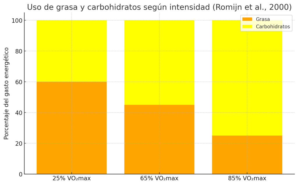 Grasa y carbohidratos según intensidad