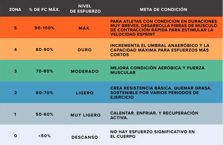 Tasa de oxidación de grasa 