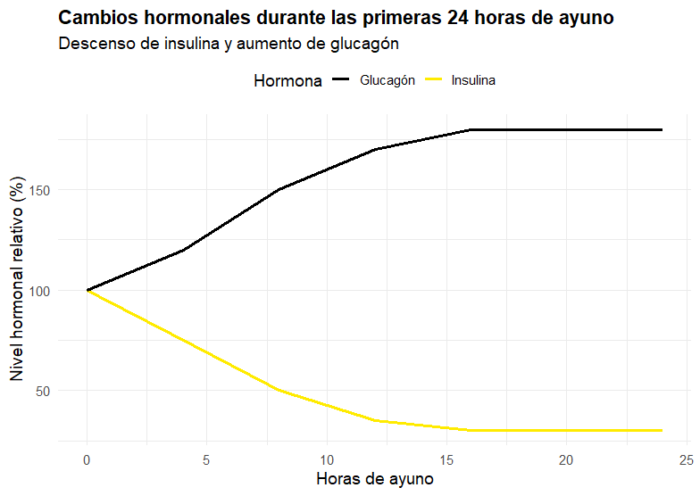 Cambios hormonales 24 horas de ayuno