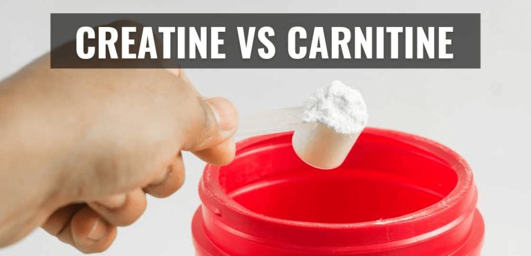 Carnitina vs Creatina