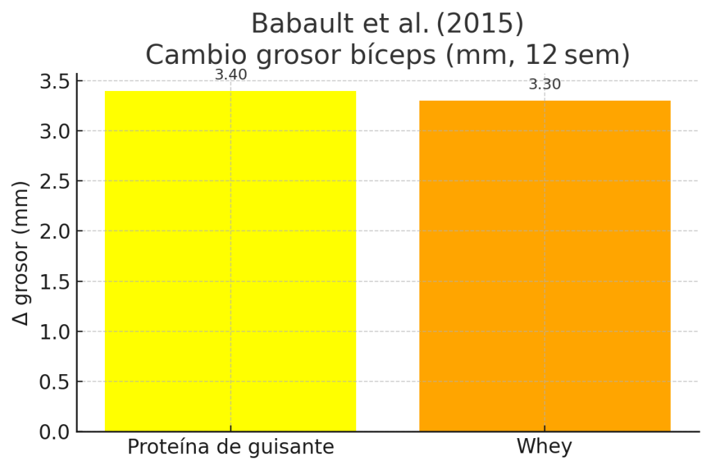 Aumento del grosor del bíceps 