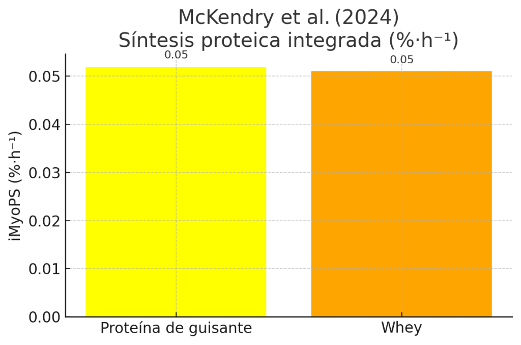 Tasa de síntesis proteica integrada en mayores