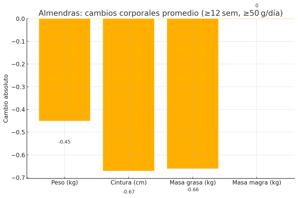 ¿Cuáles son los mejores frutos secos para ganar masa muscular? 5 Almendras y composición corporal