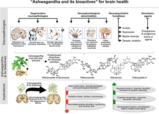 Propiedades de la ashwagandha