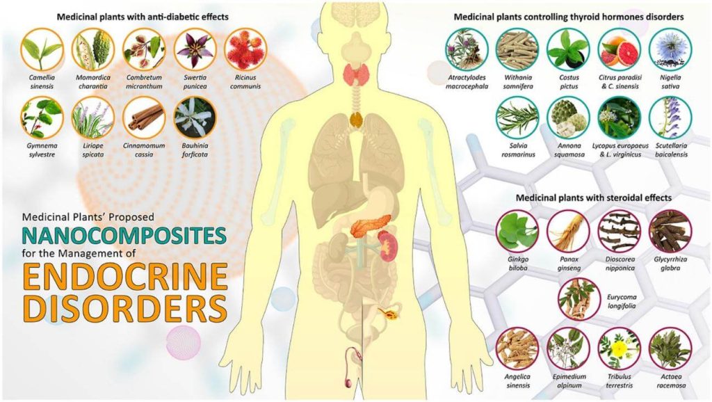 Ashwagandha interactuar con medicamentos